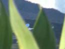 Madeira,Funchal Airport