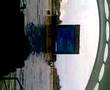 Orcas In Tenerife 2