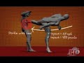 Human Weapon   TaeKwonDo   Rear Horse Kick