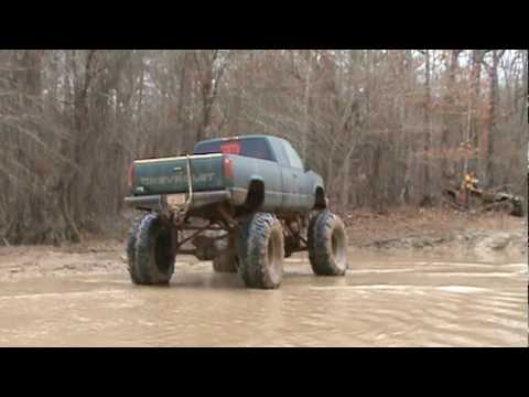muddi gras gator run park 2010