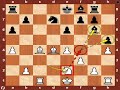 World Chess Championship 2010: Topalov vs. Anand - Game 5