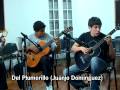 Del Plumerillo