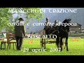 Lostallo 2007 Cavalli e carrozze CONCORSO INTERNAZIONALE ATTACCHI video 1