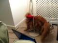 videos de MVI_4602.AVI