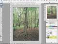 Get Going with Photoshop CS 101 FREE Tutorial - Chapter 1