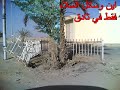 زيارة الامير سلمان لمحافظة ثادق (محرم 1429هـ) والاستعدادات