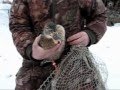 Просмотр видео