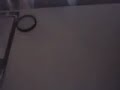funny finger bike video