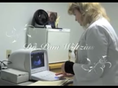 YouTube Preview Image