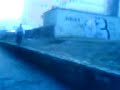 jump,małpy,