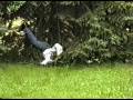 jump
