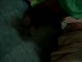 la pii eLectr0h de sedaa (? o.O