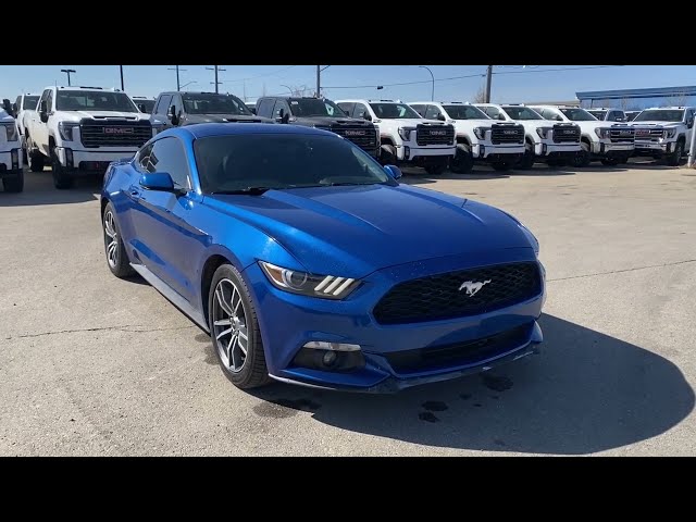 2017 Ford Mustang EcoBoost in Cars & Trucks in Edmonton