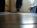 /iio_lukithazz bailamdo electro