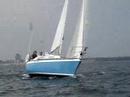 Dr.B.PIETRASZEK CUP REGATTA 2007