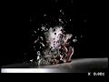 Nike Golf Juice ball - Piggy Bank Nike Golf Juice ball - Piggy Bank
