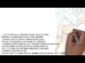 Watch 'PUPPY  TRAINING 101 - YouTube'
