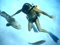 orfoz grouper cousteau belgeseli orfoz grouper cousteau belgeseli