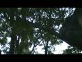 Elizabeth at the Park_Part 2