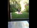 clip video Ilona Mitrecey Dans Mon Jardin