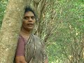 Aasirvathikkum..