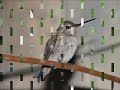 Attack of a hummer