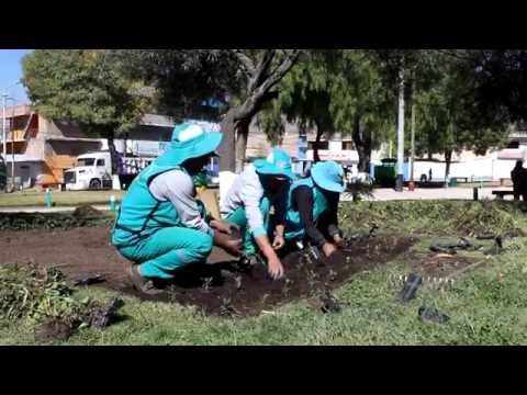Realizan mantenimiento de rutina a la áreas verdes en el Distrito de Jesús Nazareno Realizan mantenimiento de rutina a la áreas verdes en el Distrito de Jesús Nazareno
