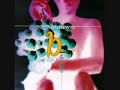 B-tribe- Sa Trincha