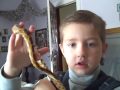 VID00004.AVI