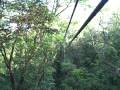 videos de Zipline'ing through the Rain Forrest (New Years 2009)