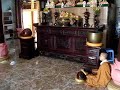 Buddhist Temple, Ha Tien Vietnam