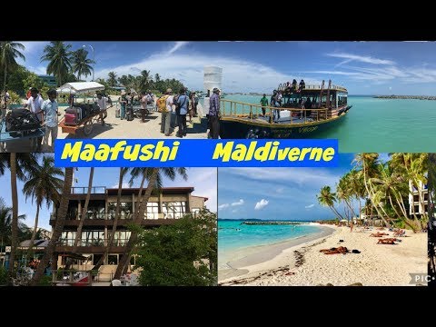 Budgetferie til Maldiverne? Rejs til Maafushi