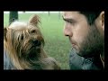 Optimus Tag Attack - Cão (anúncio)