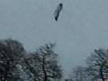 man-flies-kite-2