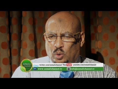 daawo-faysal-cali-waraabe-oo-u-dhuumashadii-madaxweynaha-soomaaliya-ka-jawaabi-la