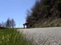 East Coast Speedboarding (Day 4)