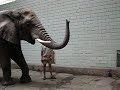 Elephant Encounter Jalowsky 2