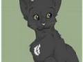 Jaypaw- Highschool never ends