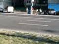 videos de live de la brasov cum trverseaza ursu strada