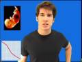 Search Video