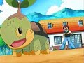 Ash's Turtwig Evolves