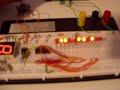 mills-project-3bit-synchronous-binary-counter.html