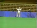 Baseball catch