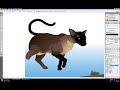 See Video