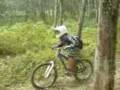 Southern FR-Syah @ Beringin