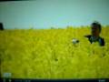  - MovieZen Video