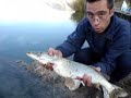 Pescando Lucios en Almoguera
