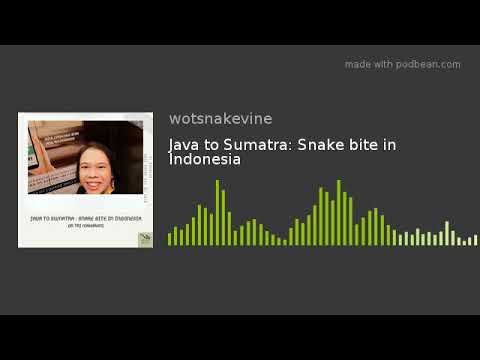 YouTube reptile video
