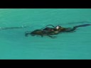 Aaliyahs Diving Lesson