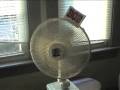 videos de Here 30 Norfolk St Goes Again